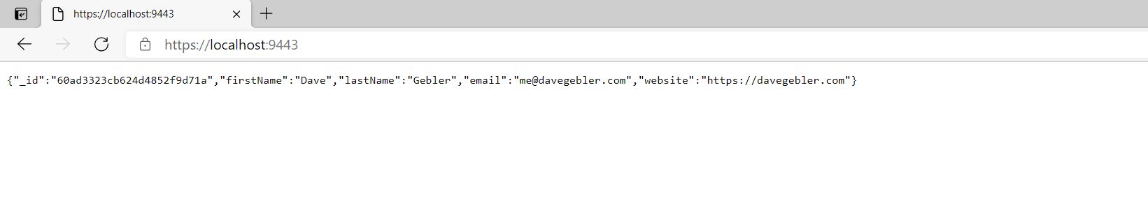Screenshot showing Express app
